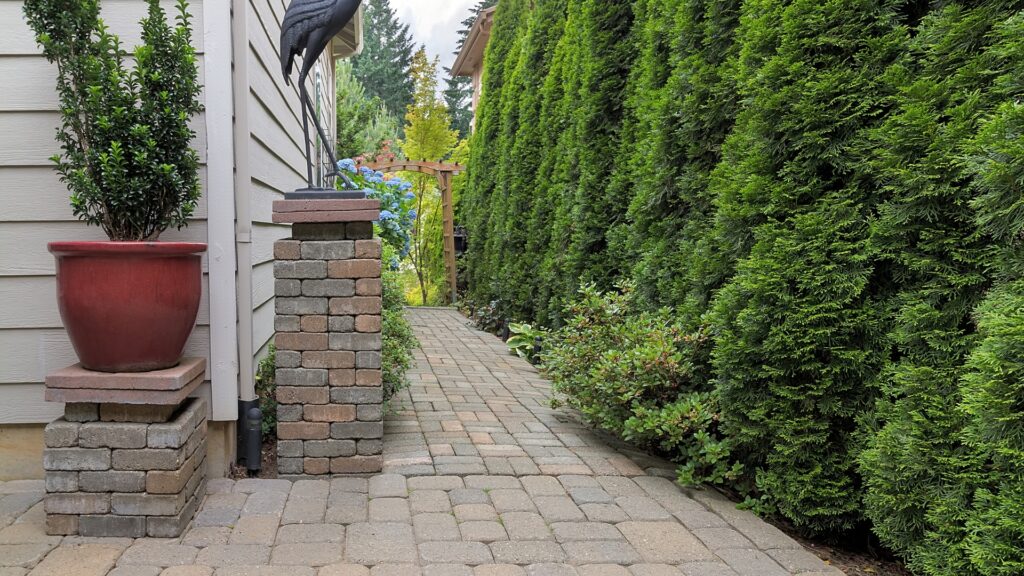 Untitled design (21)